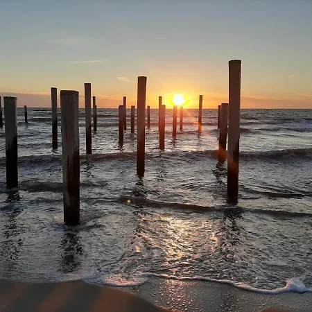 Vakantiehuis Boshuisje Aan Zee Petten