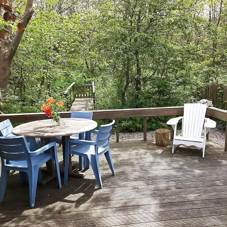 Vakantiehuis Boshuisje Aan Zee *