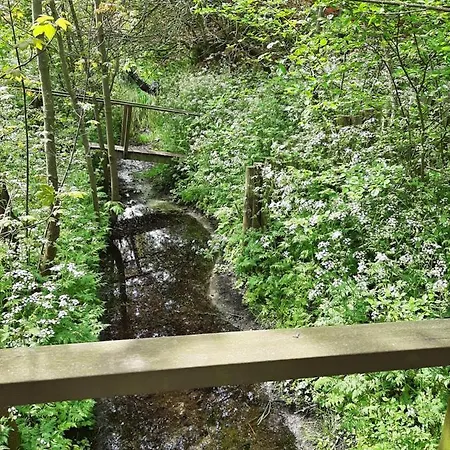 Boshuisje Aan Zee Petten