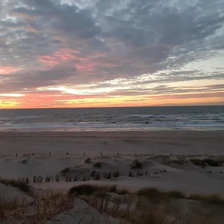 Boshuisje Aan Zee Vakantiehuis