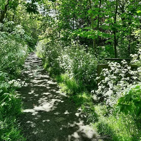 Boshuisje Aan Zee Petten