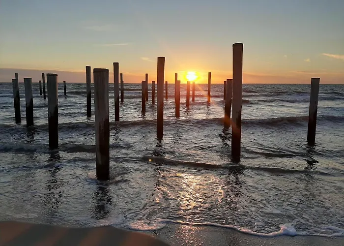 Semesterbostad Boshuisje Aan Zee Petten