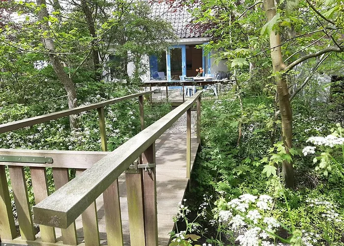 Boshuisje Aan Zee Petten