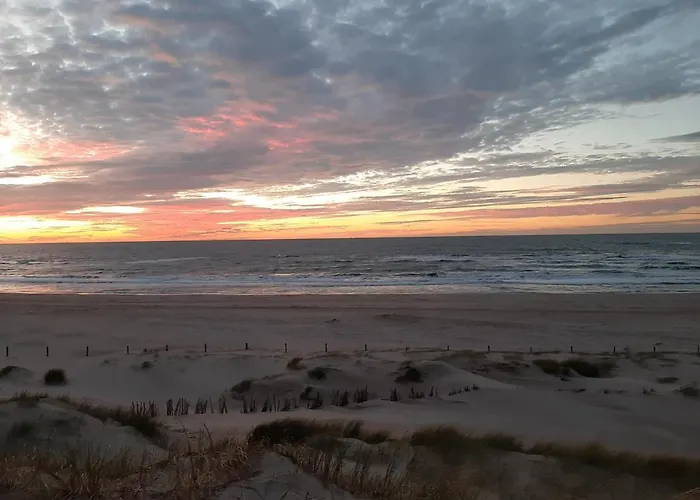 Boshuisje Aan Zee Semesterbostad