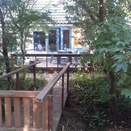 Boshuisje Aan Zee Petten