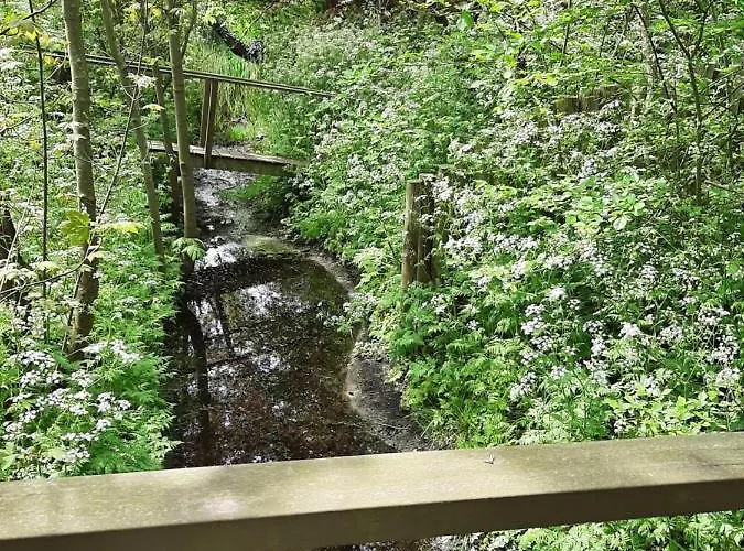 Boshuisje Aan Zee ペッテン